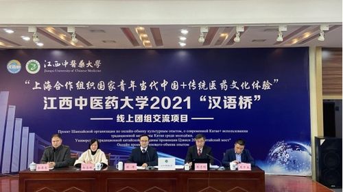 文化交融，故事傳揚 國際教育學院以品牌活動為橋，助推全球文化認同
